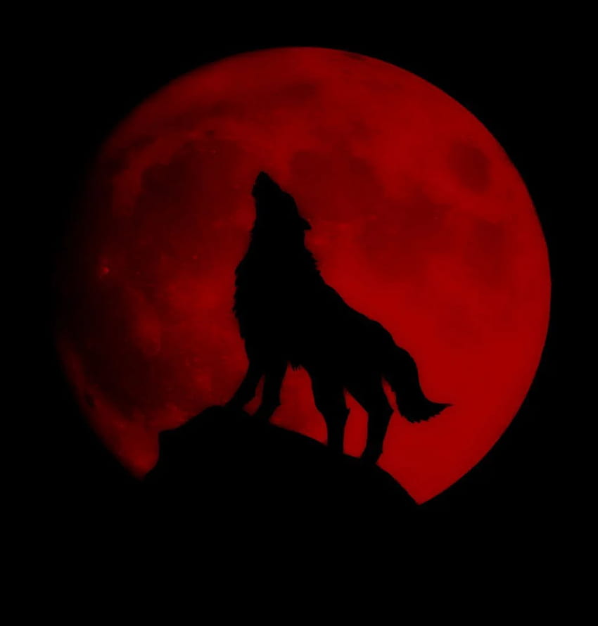 Lachésis. Tatouage loup et lune, Bel art sombre, Loup, Anime Loup noir et rouge Fond d'écran de téléphone HD