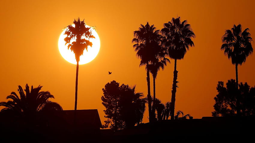What America's latest heatwave is all about: global warming, Heat Waves HD wallpaper
