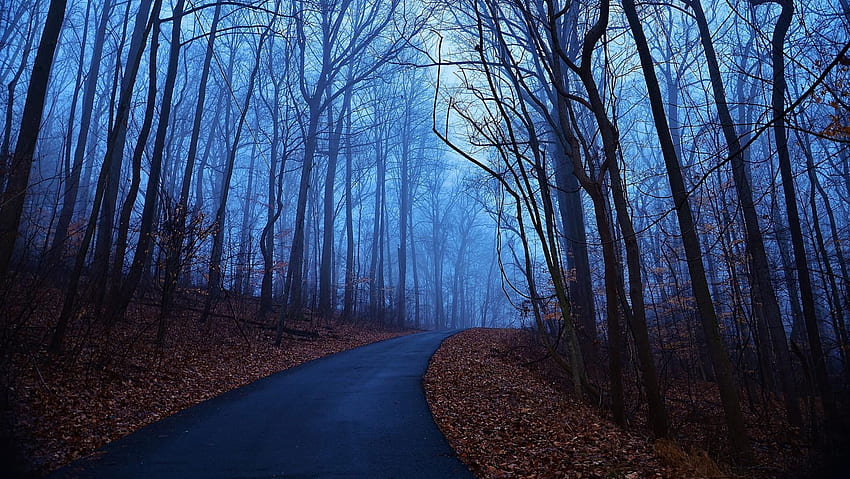 Blue Sky Alone Road, Nature, , , Background, and HD wallpaper