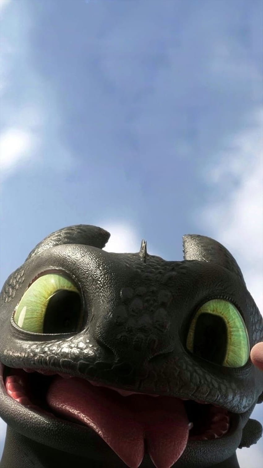Hiccup Night Fury Toothless How To Train Your Dragon 3 4K Ultra HD Mobile  Wallpaper