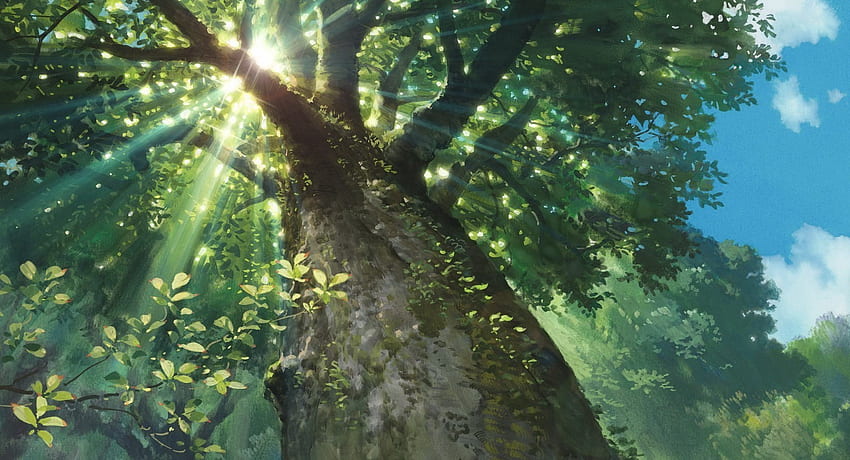 nature sunlight trees sun rays worms eye view studio ghibli karigurashi no arrietty HD wallpaper