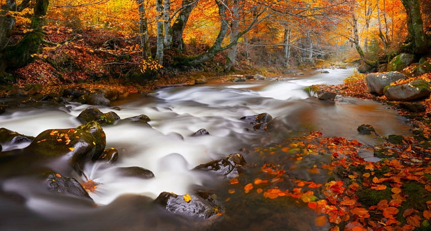 Autumn , beautifyl, sunlight, fall, beautiful, lake, leaves, waterfall, trees, autumn, forest, foliage HD wallpaper