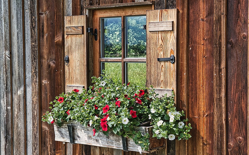 Window with Flowers, wooden, glass, flowers, window HD wallpaper