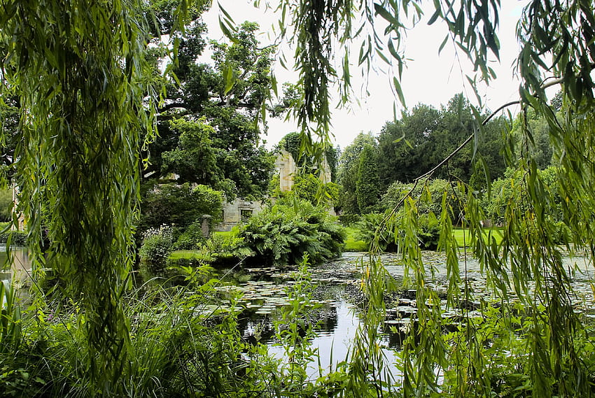 Landscape, Nature, Trees, Park, Branches, Pond HD wallpaper