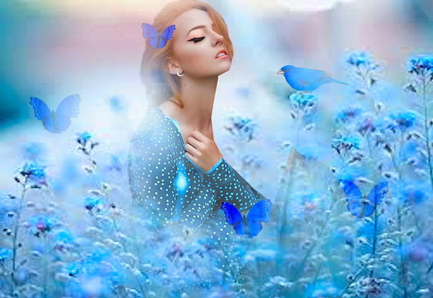 Thinking Of You, bunt, blau, Schmetterlinge, weiß, Vogel, hell, Mädchen HD-Hintergrundbild