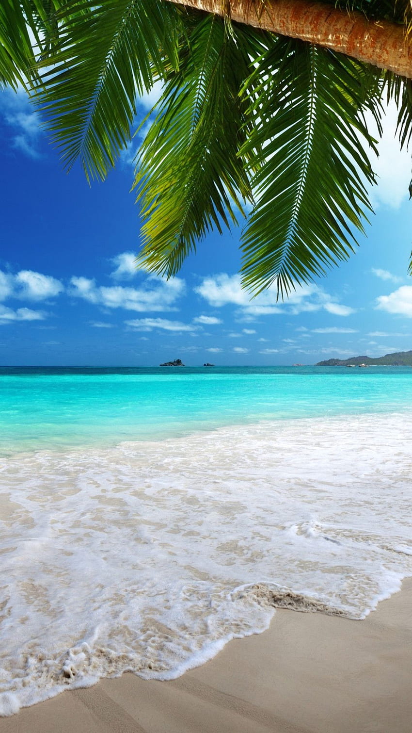 iPhone spiaggia, spiaggia intelligente Sfondo del telefono HD