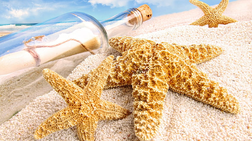 Message dans une bouteille, bouteille, océan, sable, mer, message, étoile de mer Fond d'écran HD