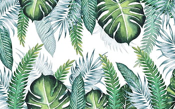 Tropical Wallpaper 4K, Green leaves, Plant, 5K