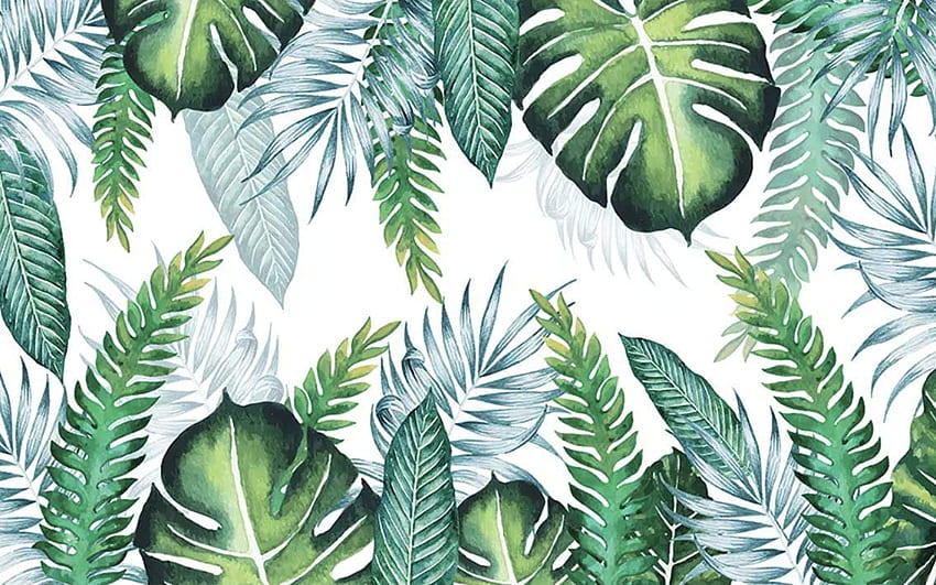 Green Tropical Leaves, Pastel Leaves HD wallpaper