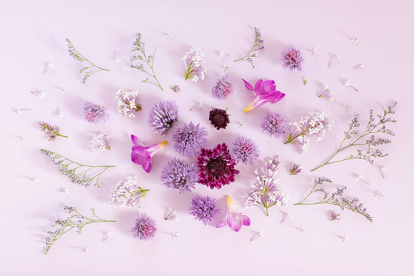 DIGITAL BLOOMS JULY 2019. + MY 400TH BLOG POST! - JustineCelina, Blue Purple Flower HD wallpaper