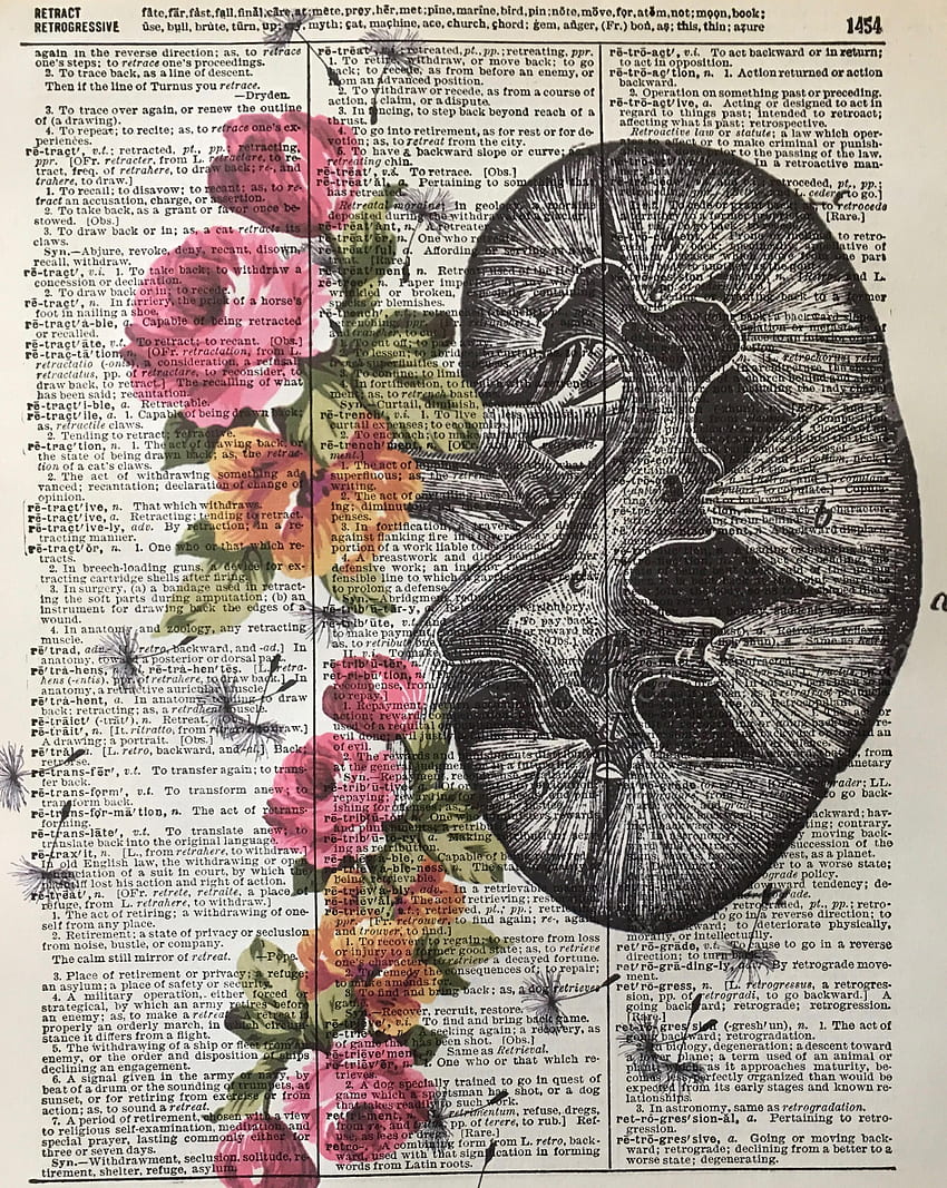 Anatomical Kidney Kidney Flower Print Seni Medis Ukuran . Etsy pada tahun 2021. Seni medis, Seni anatomi manusia, Seni anatomi wallpaper ponsel HD