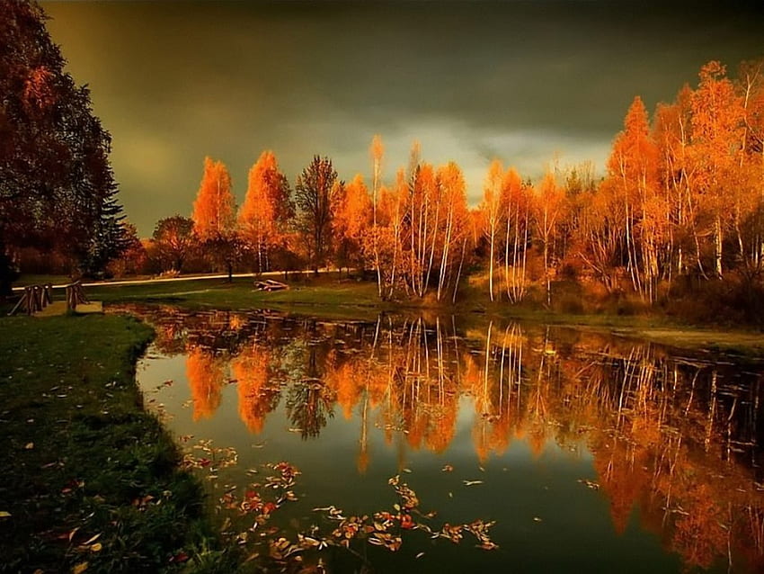 秋、風景、自然、湖 高画質の壁紙