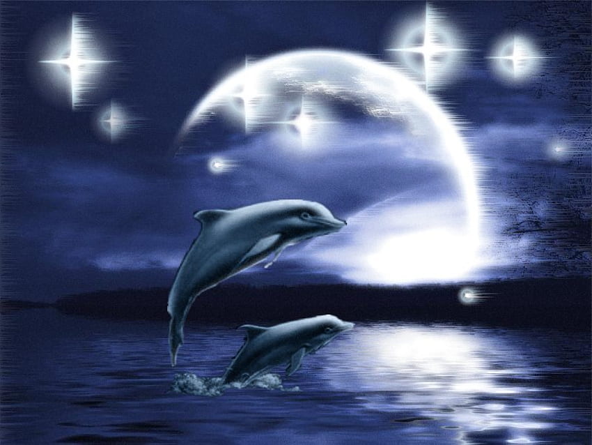 dolphins, sea, stars, moon HD wallpaper