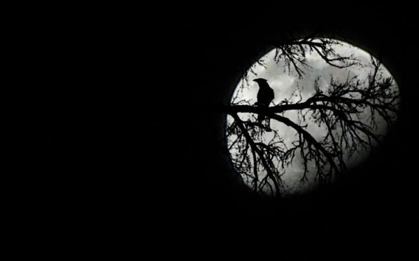 Dark Moon, Dark Night with Moon HD wallpaper