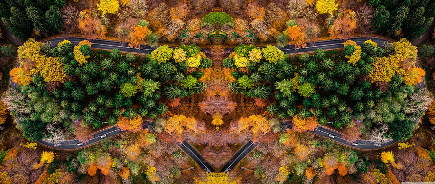 Autumn Symetric Drone Shot Ultra Background HD wallpaper