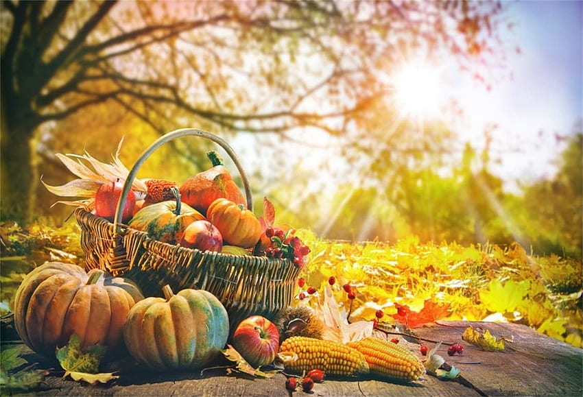 CSFOTO ft Background for Autumn Landscape graphy Backdrop Thanksgiving Basket Outdoors Sunny Pumpkin Corn Harvest Exhibition Yellow Leaves Leisurely Holiday Studio Props : Electronics, November Harvest HD wallpaper