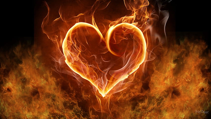 Burning Love, firefox persona, love, flames, hot, heeart, fire HD wallpaper