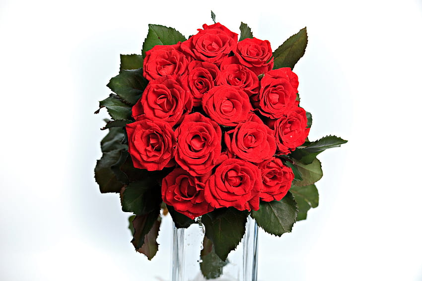 빨간 장미, bouqet, 정물, 장미, 빨강, 색상, 자연, 꽃, glas HD 월페이퍼