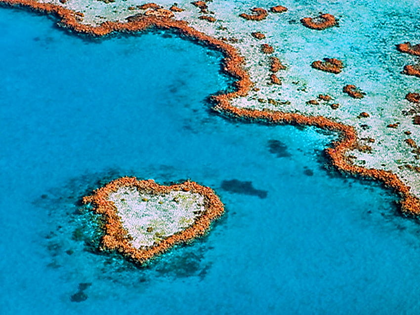 ハートリーフ、グレートバリアリーフ、青い水、サンゴ礁、オーストラリア、自然、ハートの形、海 高画質の壁紙