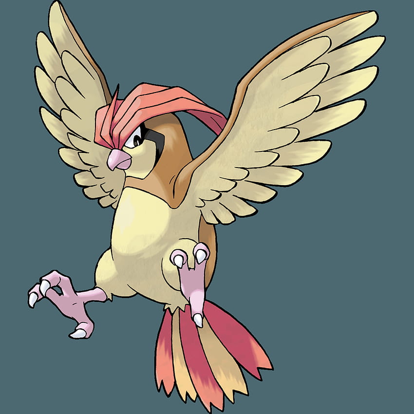 Pokémon (species) - Bulbapedia, the community-driven Pokémon encyclopedia