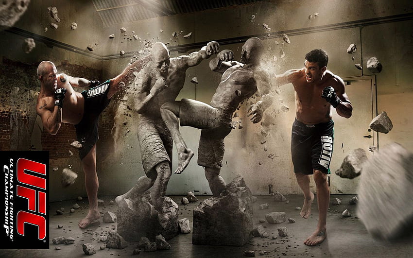 UFC Fight Artwork HD wallpaper