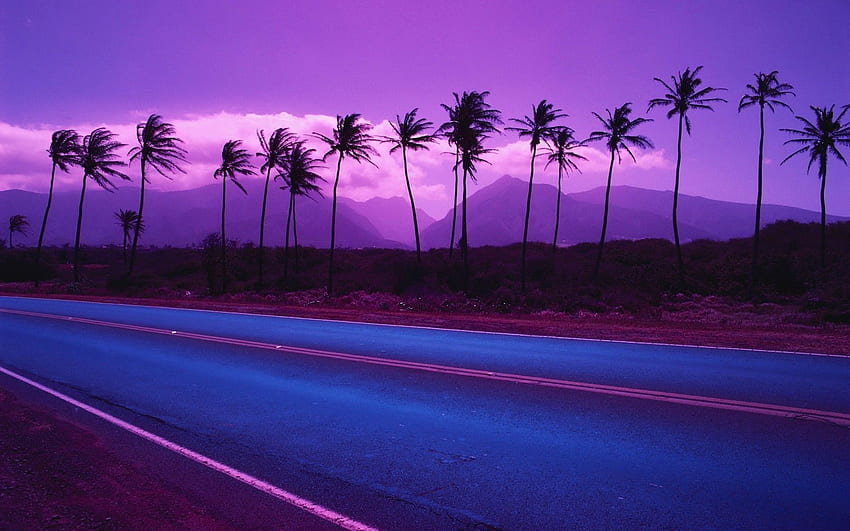 nature, Landscape, Sunset, Palm Trees, Road, Purple HD wallpaper