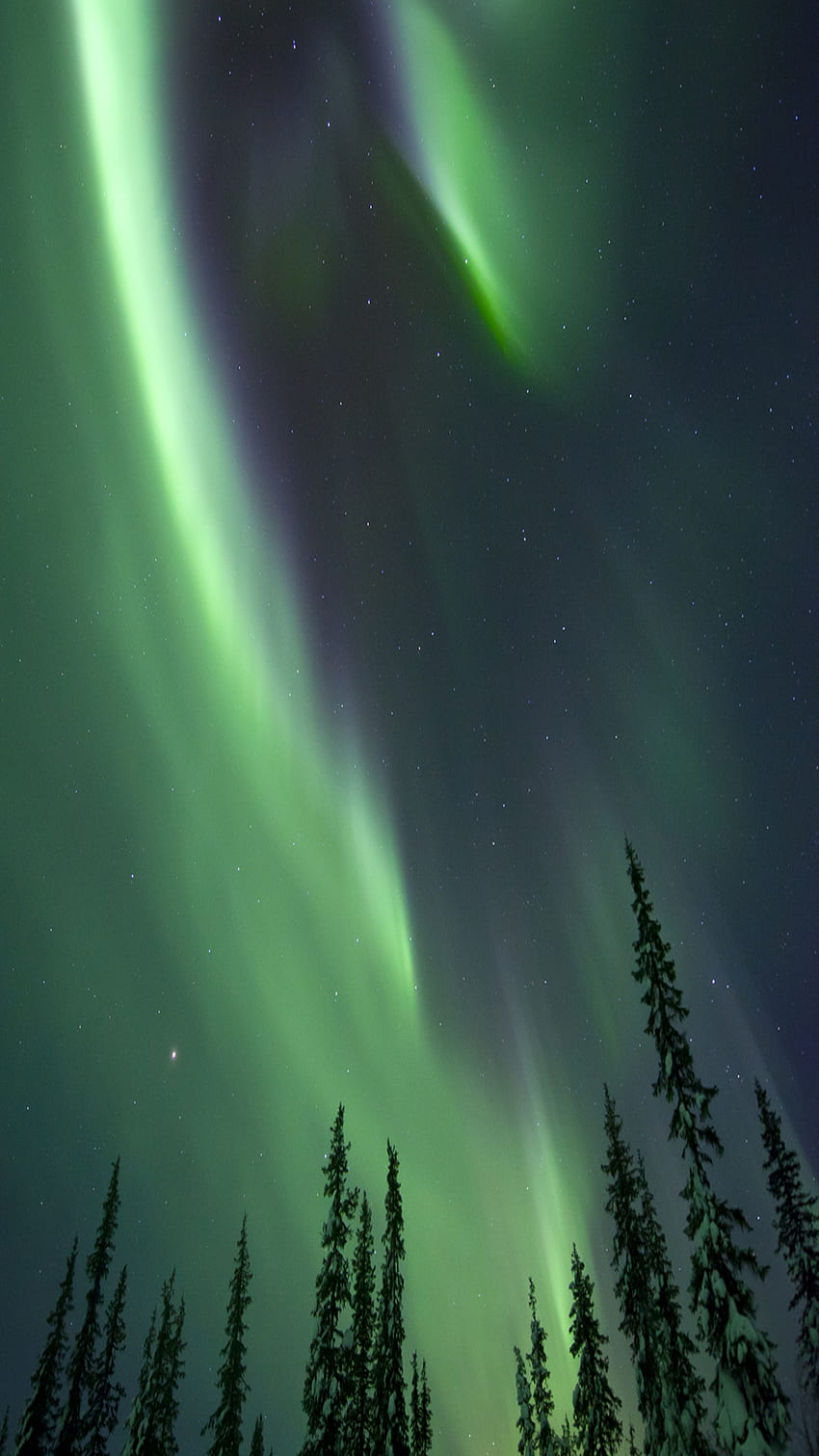 Northern Lights. iPhone X - iPhone X, Aurora Borealis HD phone wallpaper
