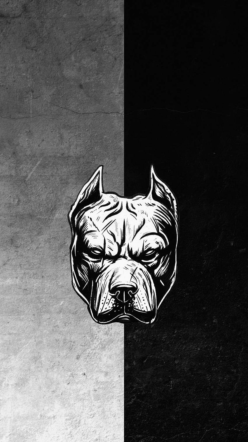 Pitbull-Hundekunst IPhone - IPhone : iPhone , Pitbull-Kunst HD-Handy-Hintergrundbild