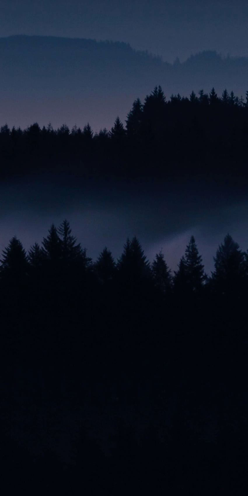 Dark Forest iPhone . iPhone in 2019, Dark Misty Forest HD phone wallpaper