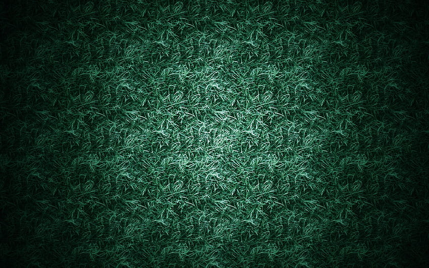 Green Velvet Wallpapers  Top Free Green Velvet Backgrounds   WallpaperAccess