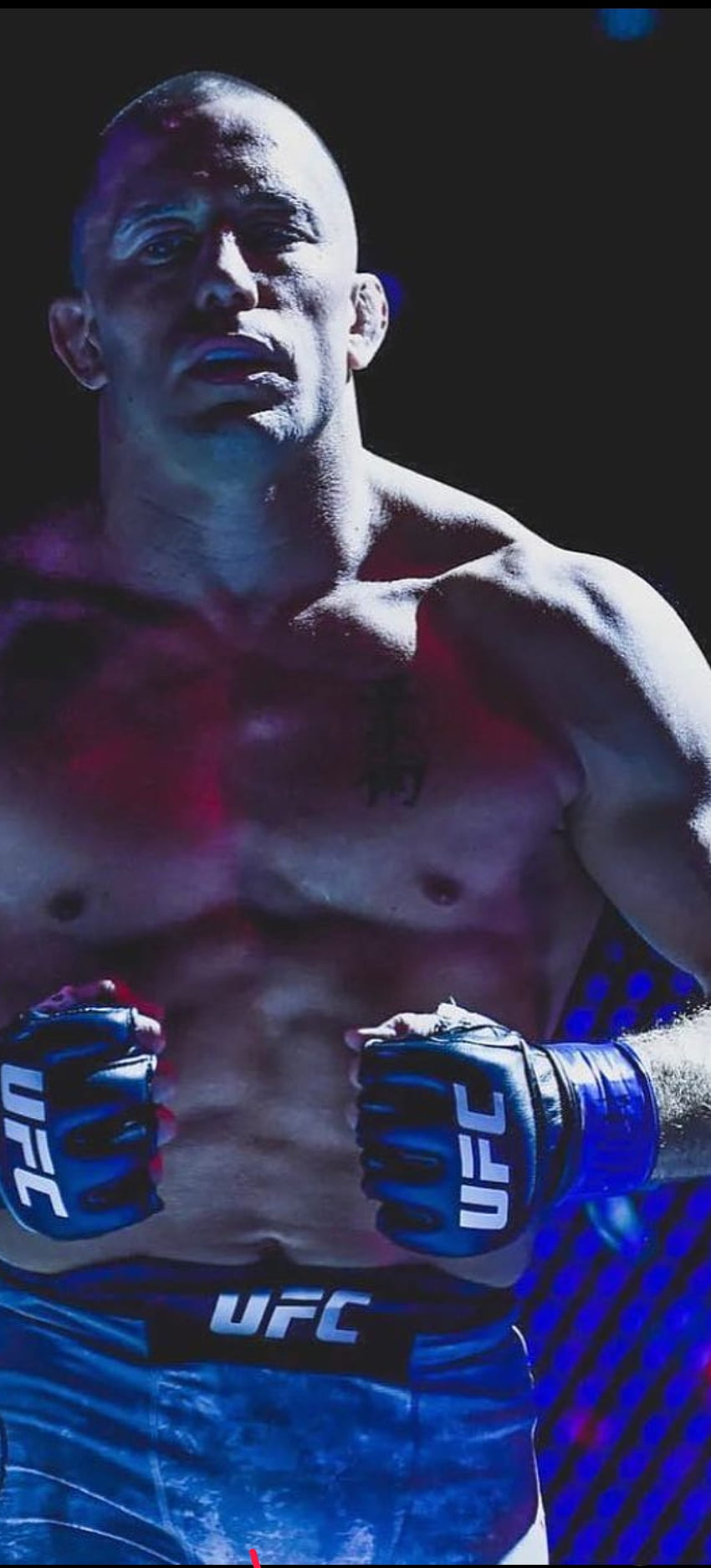 UFC, klatka piersiowa, zawodowy bokser Tapeta na telefon HD