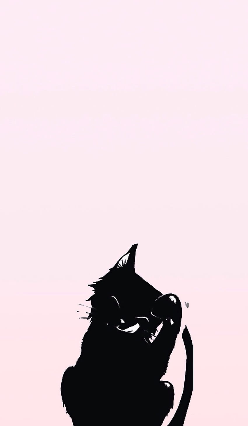 cat, and background -, Aesthetic Black Cats HD phone wallpaper