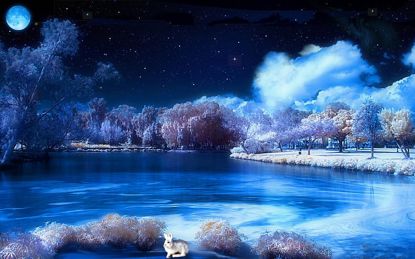 Winter Starry Sky over Lake Night Landscape Wallpaper Hd : Wallpapers13.com