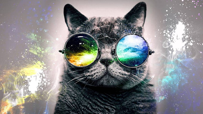 Wszystko o 38 Niesamowity zespół dla miłośników kotów, Galaxy Cat Tapeta HD