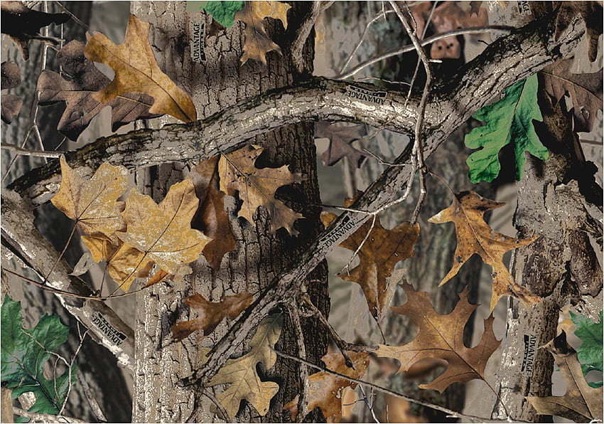 Realtree Camo. Timber Realtree Leaves & Branches Camouflage Nylon, Realtree Buck HD wallpaper