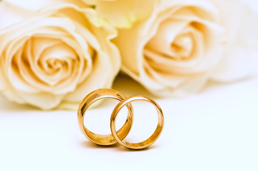 Kochankowie, pierścionki, żółty, wysokiej jakości, para, ślub, róże, małżeństwo Tapeta HD