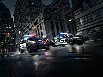 Dodge charger police wallpaper  2560x1600  4551  WallpaperUP