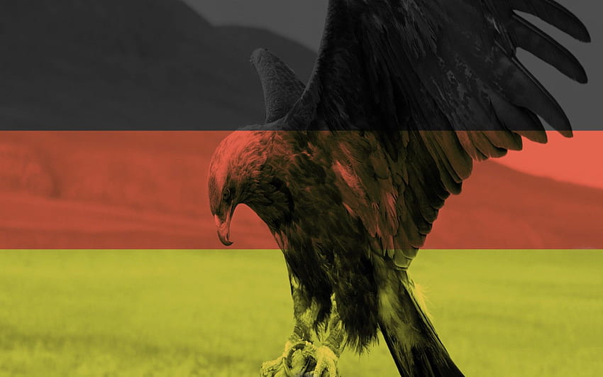Artystyczny: Flaga Niemiec Europa Ptak Orzeł Niemcy Tapeta HD