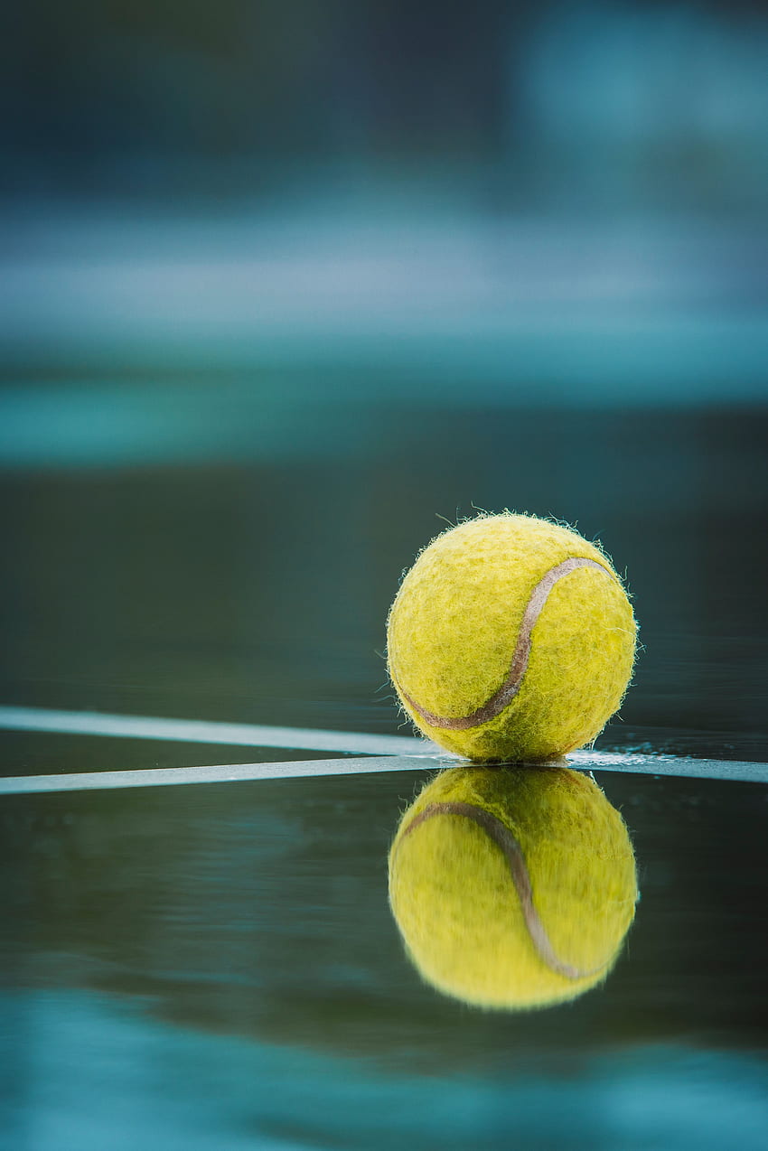 Sports, Tennis, Reflection, Markup, Lines, Ball, Court HD phone wallpaper