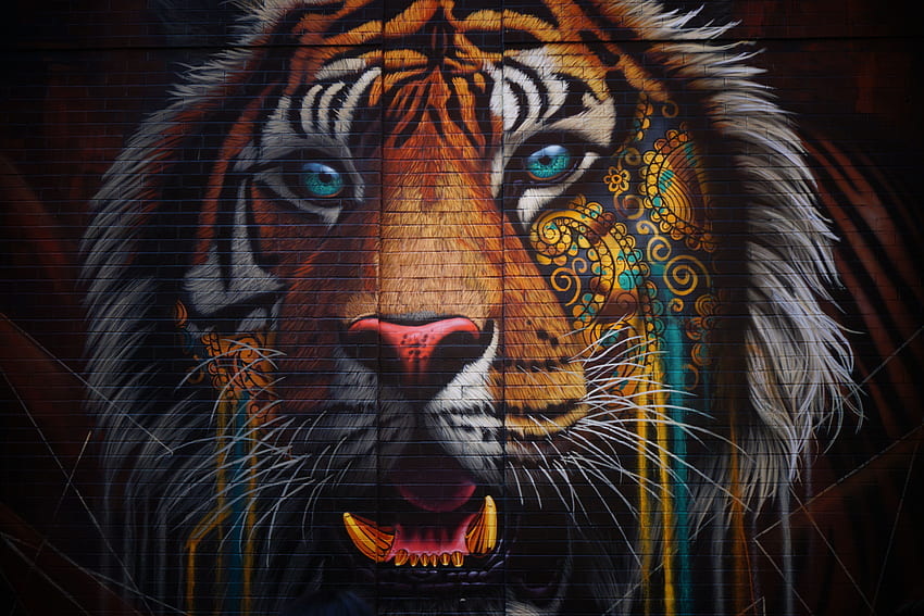 Animali, Multicolore, Eterogeneo, Muro, Tigre, Graffiti, Street Art Sfondo HD