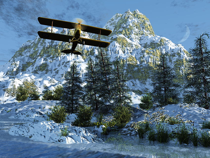 летене високо в планината, сняг, дървета, самолет, небе, природа, планини HD тапет