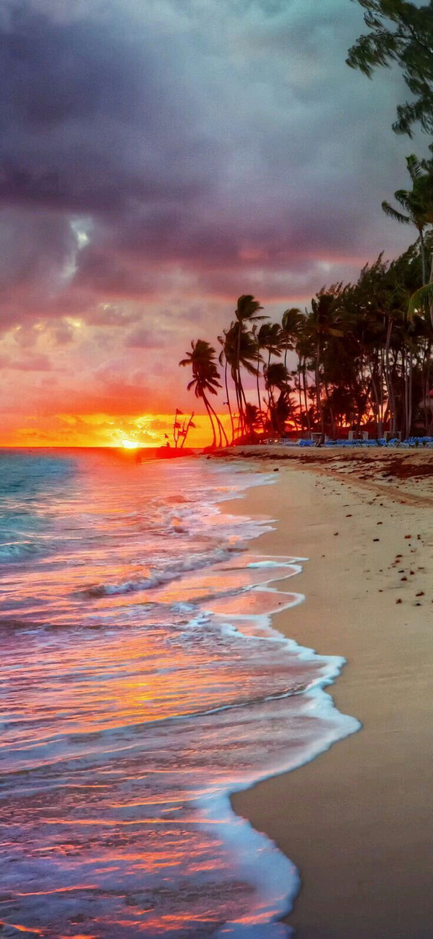 Puerto Rico Sunset - , Puerto Rico Sunset Background on Bat, Puerto Rico Beach Sunset wallpaper ponsel HD