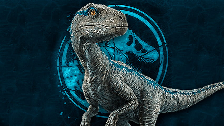 Biru Raptor, Jurassic Park Velociraptor Wallpaper HD