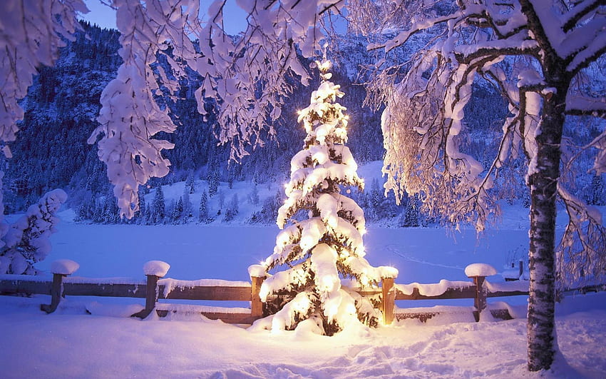 Christmas winter snow forest g . . 183505, Snowy Christmas Night HD wallpaper