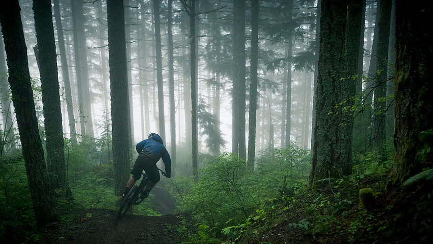 Pacific Northwest - Siklus Yeti. Sepeda Yeti, merek sepeda gunung, jejak Colorado Wallpaper HD
