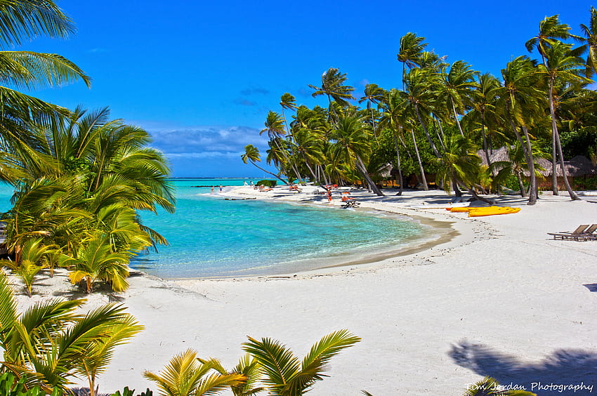 Plaża, palma, lato, raj, morze, fantastyczne Tapeta HD
