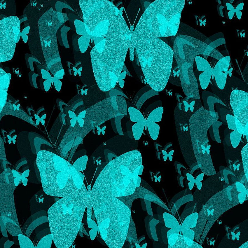 Turquoise Butterfly . Butterfly background, Butterfly HD phone wallpaper