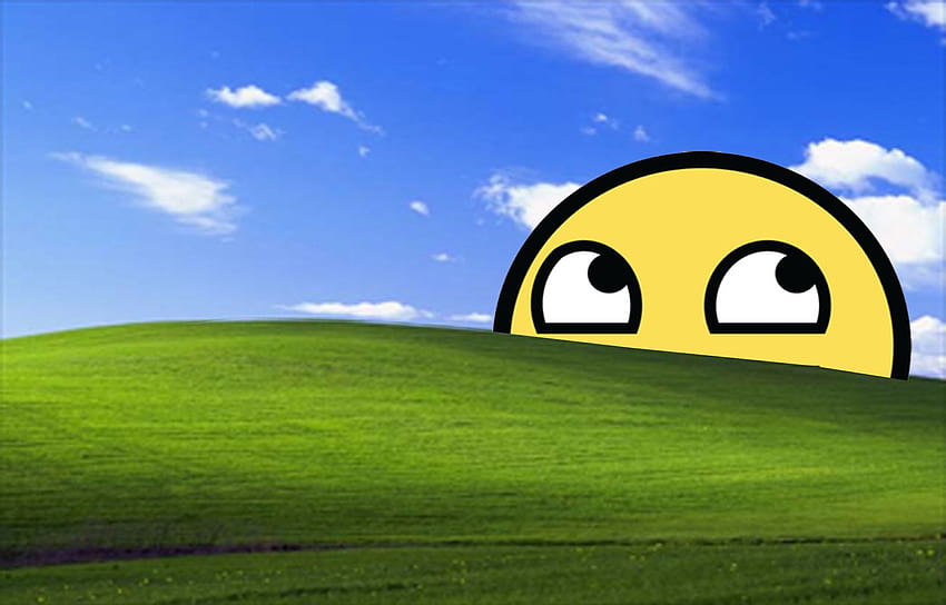 윈도우 XP 블리스 HD 월페이퍼