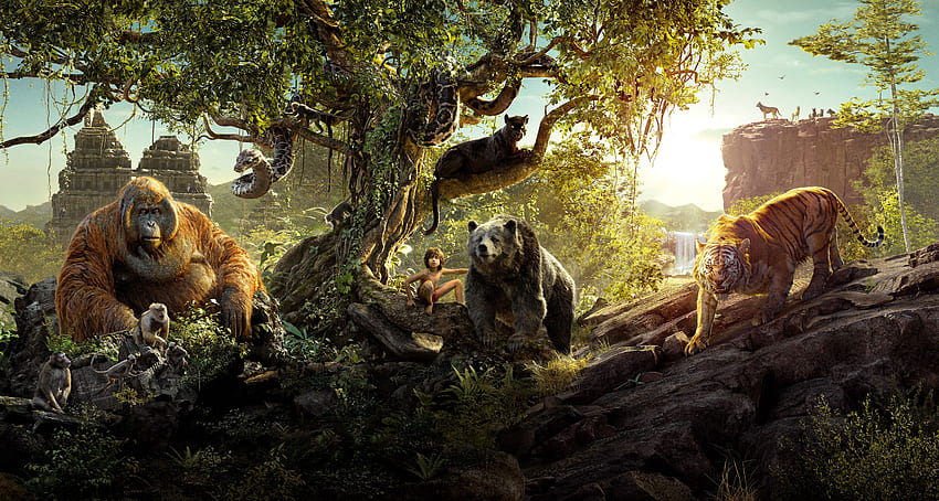 Bagheera, Mowgli, ジャングル・ブック、映画 高画質の壁紙