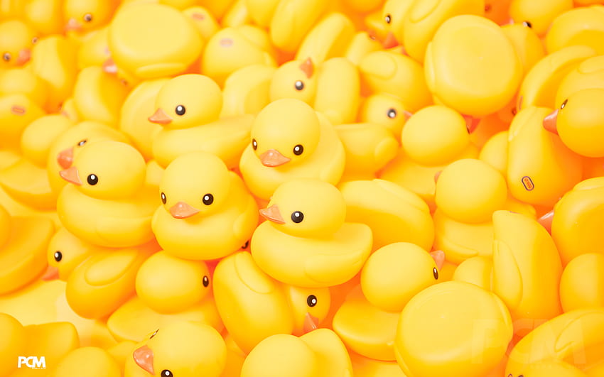 Rubber Duck Amazing [] for your , Mobile & Tablet. Explore Rubber Duck . Duck , Akron Rubber Ducks , Duck Hunting for , Cute Duck Computer HD wallpaper
